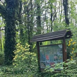 Deseda Kaposvár - Egyéb