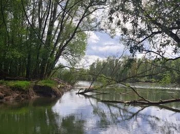 Dráva gát Vízvár