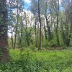 Dráva gát Vízvár - Egyéb