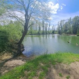 Dráva gát, Vízvár - Egyéb