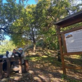 Drégely vára Drégelypalánk - Egyéb