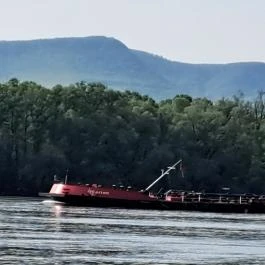 Dunapart Göd - Egyéb