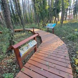 Égerösvény Zalakaros Zalakaros - Egyéb