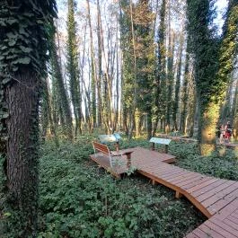 Égerösvény Zalakaros Zalakaros - Egyéb