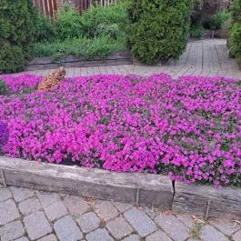 Puchner Élménybirtok Bikal - Egyéb