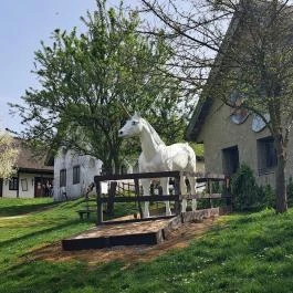 Puchner Élménybirtok Bikal - Egyéb