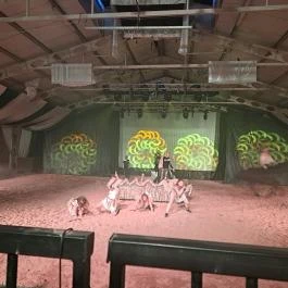 Puchner Élménybirtok Bikal - Egyéb