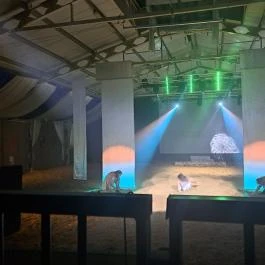 Puchner Élménybirtok Bikal - Egyéb