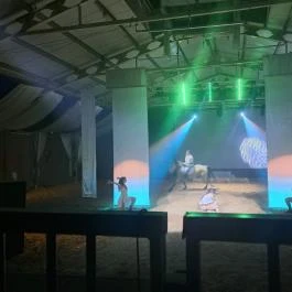 Puchner Élménybirtok Bikal - Egyéb