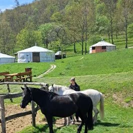 Farkaskútvölgy Felsőtold - Egyéb