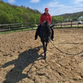 Farkaskútvölgy Felsőtold - Egyéb