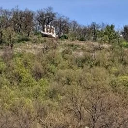 Farkaskútvölgy Felsőtold - Egyéb