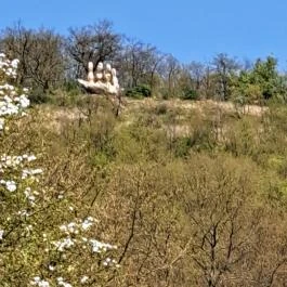 Farkaskútvölgy Felsőtold - Egyéb