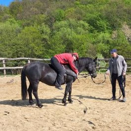 Farkaskútvölgy Felsőtold - Egyéb