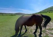 Farkaskútvölgy Felsőtold