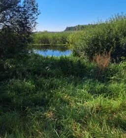 Fekete István Emlékház