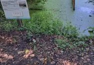 Fekete István Emlékház Keszthely