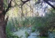 Fekete István Emlékház Keszthely