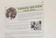 Fekete István Emlékház Keszthely