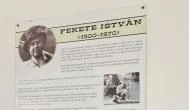 Fekete István Emlékház Keszthely - Egyéb