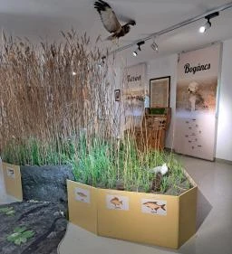 Fekete István Emlékház