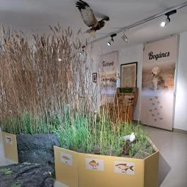 Fekete István Emlékház Keszthely - Egyéb