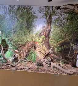 Fekete István Emlékház