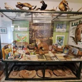 Fekete István Múzeum, Dombóvár - Egyéb