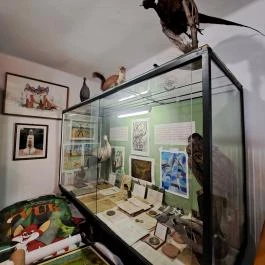 Fekete István Múzeum, Dombóvár - Egyéb