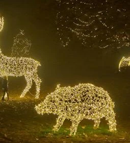 Fénypompás Kastélypark 