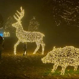 Fénypompás Kastélypark Gödöllő - Egyéb