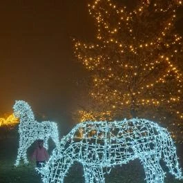 Fénypompás Kastélypark Gödöllő - Egyéb