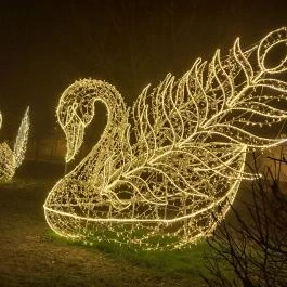 Fénypompás Kastélypark Gödöllő - Egyéb