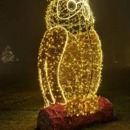 Fénypompás Kastélypark Gödöllő - Egyéb