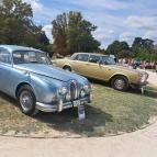 Festetics-kastély Keszthely - Egyéb