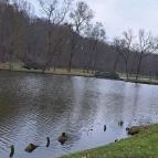 Festetics-kastély Dég - Egyéb