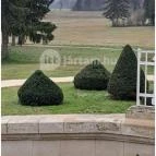 Festetics-kastély Dég - Egyéb