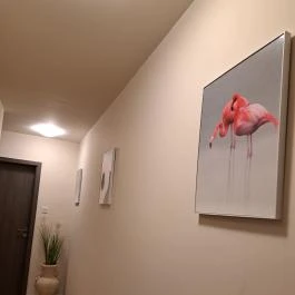 Flamingó Apartmanház Hévíz - Egyéb