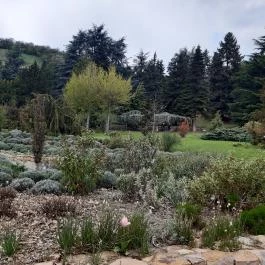 Folly Arborétum, Badacsonyörs - Egyéb
