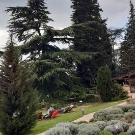 Folly Arborétum, Badacsonyörs - Egyéb