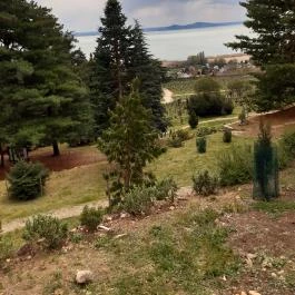 Folly Arborétum, Badacsonyörs - Egyéb