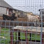 Garabonciás Farm és a 7 Vezér Történelmi Kalandpark Garabonc - Egyéb