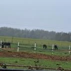 Garabonciás Farm és a 7 Vezér Történelmi Kalandpark Garabonc - Egyéb