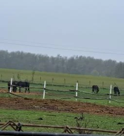 Garabonciás Farm és a 7 Vezér Történelmi Kalandpark
