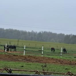 Garabonciás Farm és a 7 Vezér Történelmi Kalandpark Garabonc - Egyéb