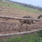 Garabonciás Farm és a 7 Vezér Történelmi Kalandpark Garabonc - Egyéb