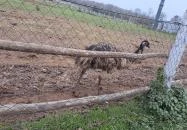 Garabonciás Farm és a 7 Vezér Történelmi Kalandpark Garabonc