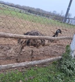 Garabonciás Farm és a 7 Vezér Történelmi Kalandpark
