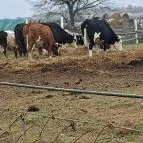 Garabonciás Farm és a 7 Vezér Történelmi Kalandpark Garabonc - Egyéb