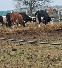 Garabonciás Farm és a 7 Vezér Történelmi Kalandpark